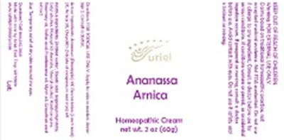 Ananassa Arnica Cream (Ananassa Arnica Cream)